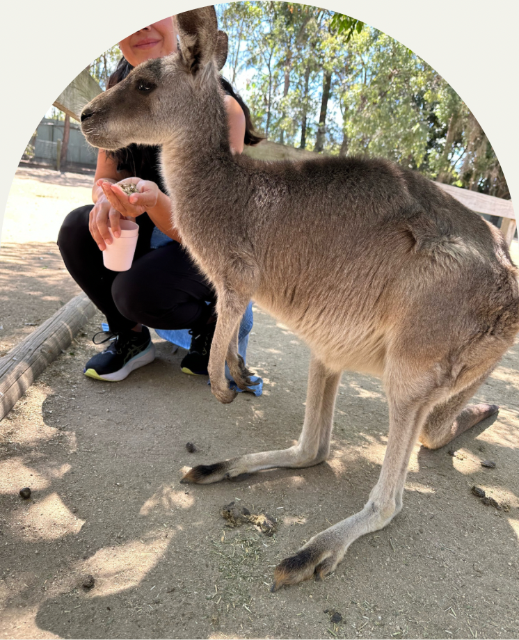 Featherdale Wildlife Park Travel Guide • Earth by Foot