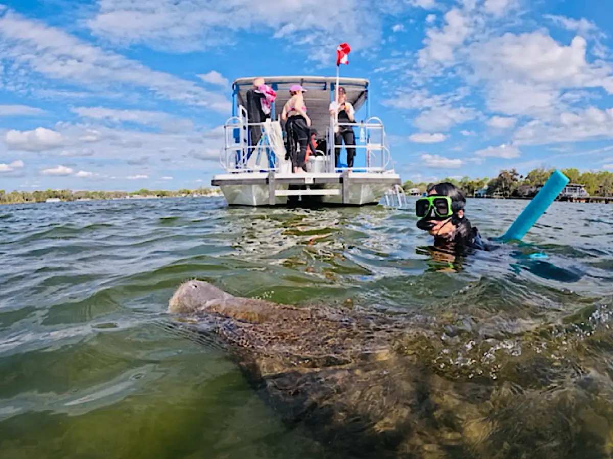 Things to Know Before Swimming With Manatees in Crystal River • Earth ...